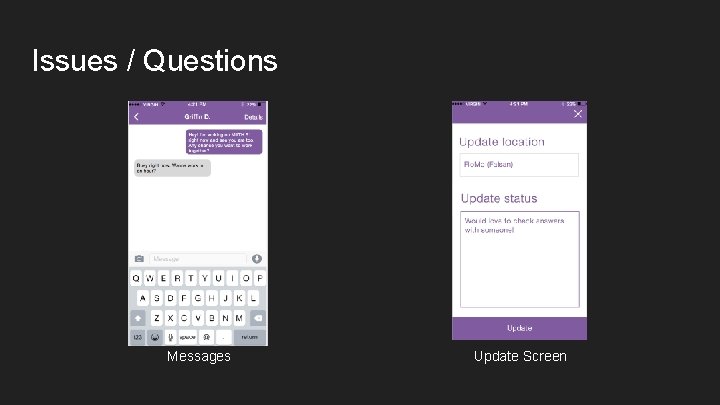 Issues / Questions Messages Update Screen 