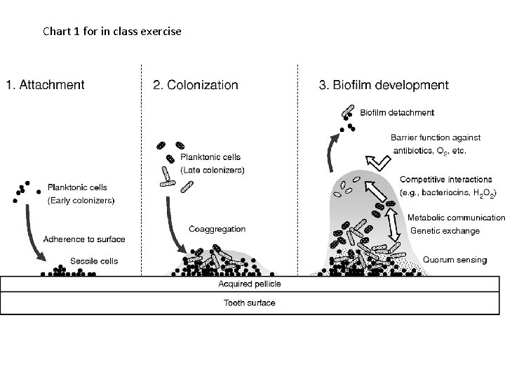 Chart 1 for in class exercise 