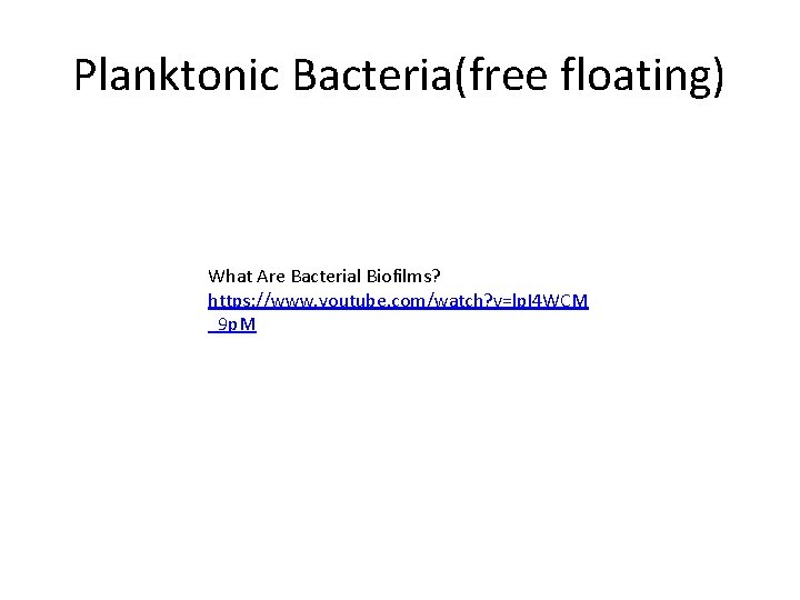 Planktonic Bacteria(free floating) What Are Bacterial Biofilms? https: //www. youtube. com/watch? v=lp. I 4