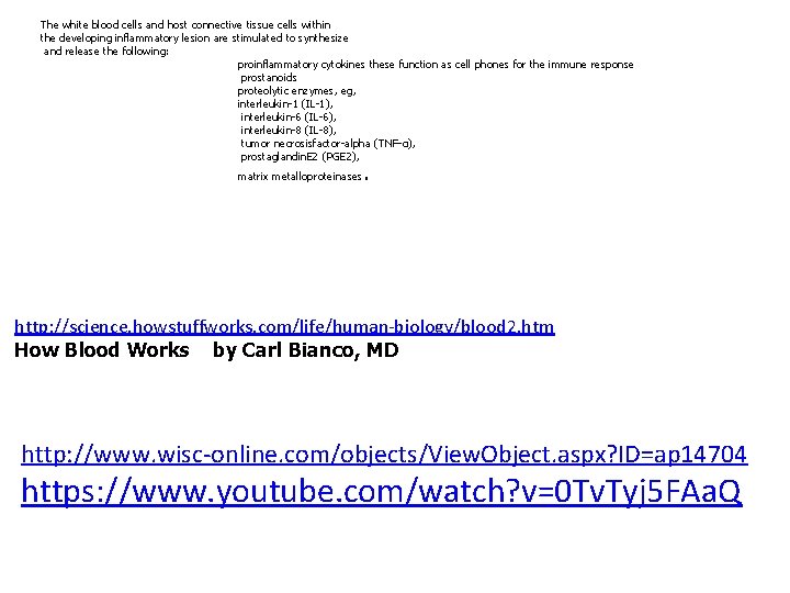 The white blood cells and host connective tissue cells within the developing inflammatory lesion