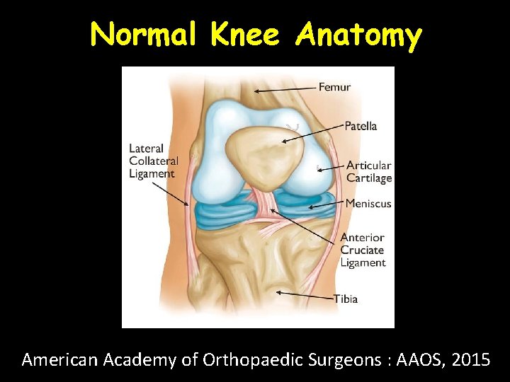 Normal Knee Anatomy American Academy of Orthopaedic Surgeons : AAOS, 2015 