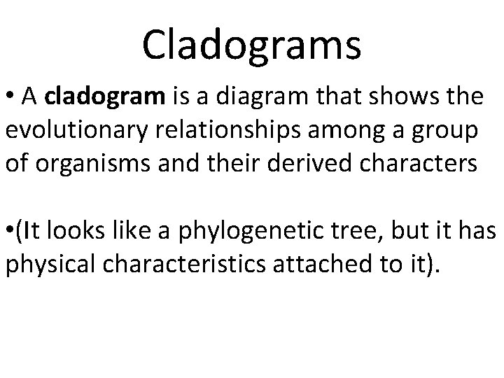 Cladograms • A cladogram is a diagram that shows the evolutionary relationships among a