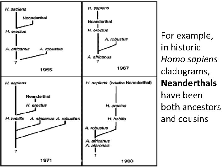 For example, in historic Homo sapiens cladograms, Neanderthals have been both ancestors and cousins