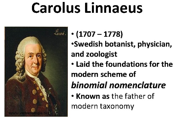 Carolus Linnaeus • (1707 – 1778) • Swedish botanist, physician, and zoologist • Laid
