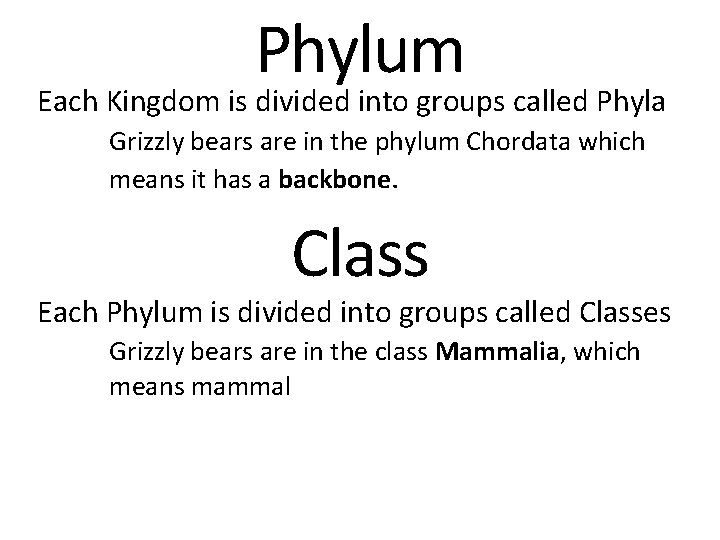 Phylum Each Kingdom is divided into groups called Phyla Grizzly bears are in the