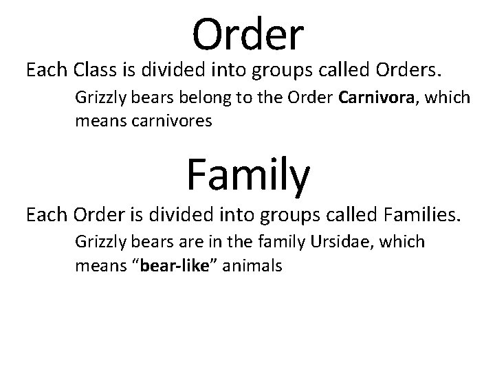 Order Each Class is divided into groups called Orders. Grizzly bears belong to the