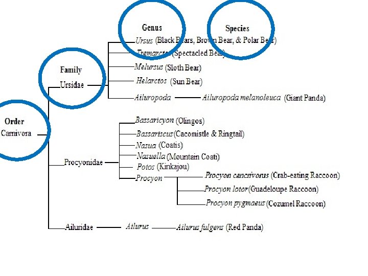 bioweb. uwlax. edu 