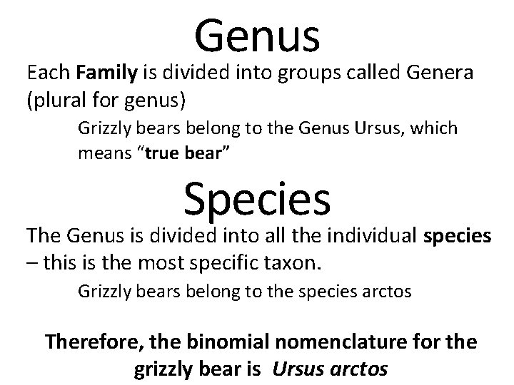 Genus Each Family is divided into groups called Genera (plural for genus) Grizzly bears