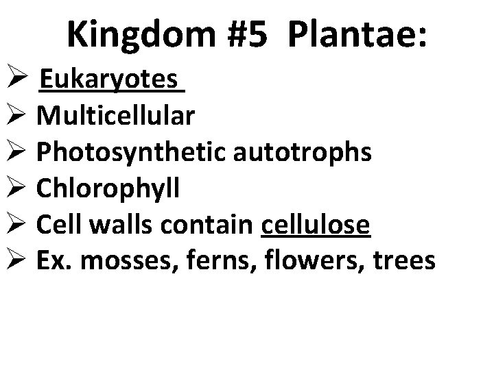 Kingdom #5 Plantae: Ø Eukaryotes Ø Multicellular Ø Photosynthetic autotrophs Ø Chlorophyll Ø Cell