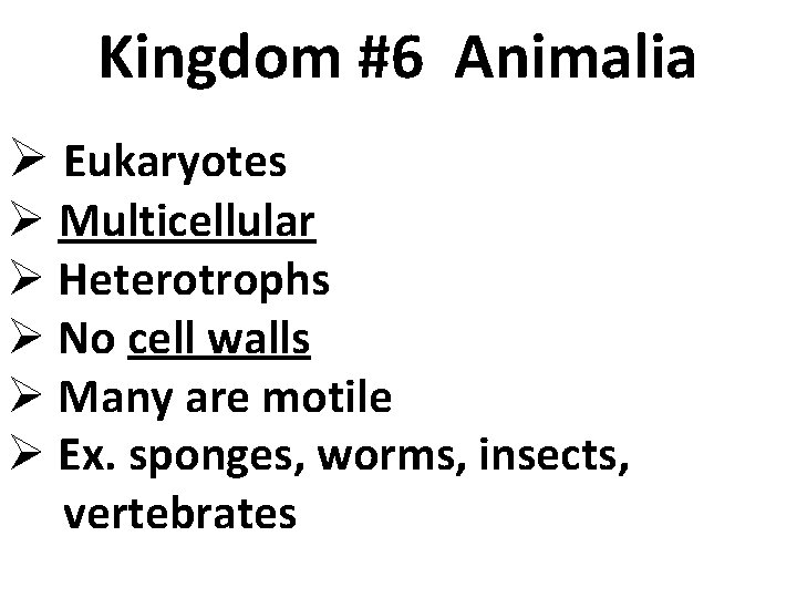 Kingdom #6 Animalia Ø Eukaryotes Ø Multicellular Ø Heterotrophs Ø No cell walls Ø