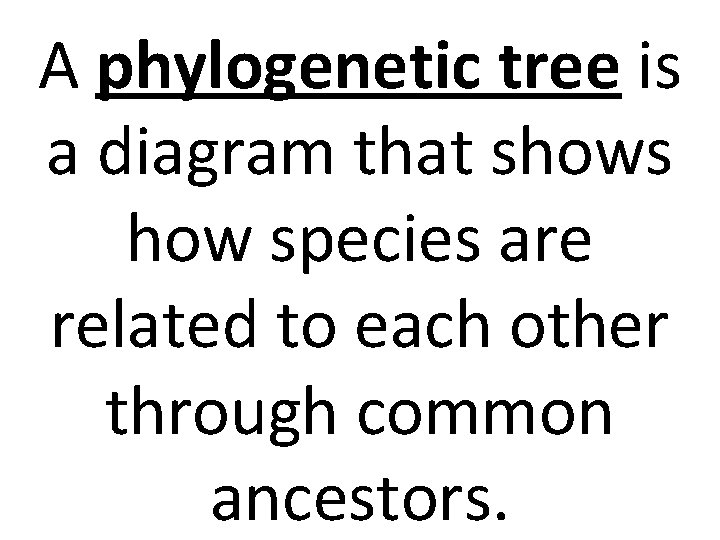 A phylogenetic tree is a diagram that shows how species are related to each