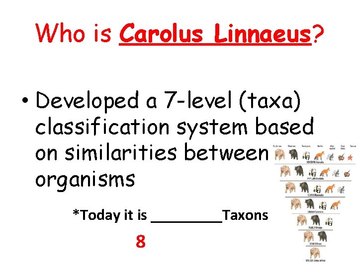 Who is Carolus Linnaeus? • Developed a 7 -level (taxa) classification system based on