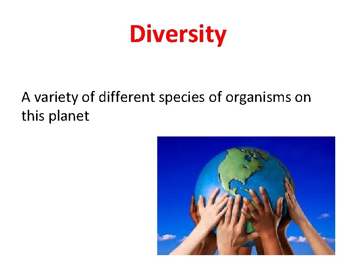 Diversity A variety of different species of organisms on this planet 