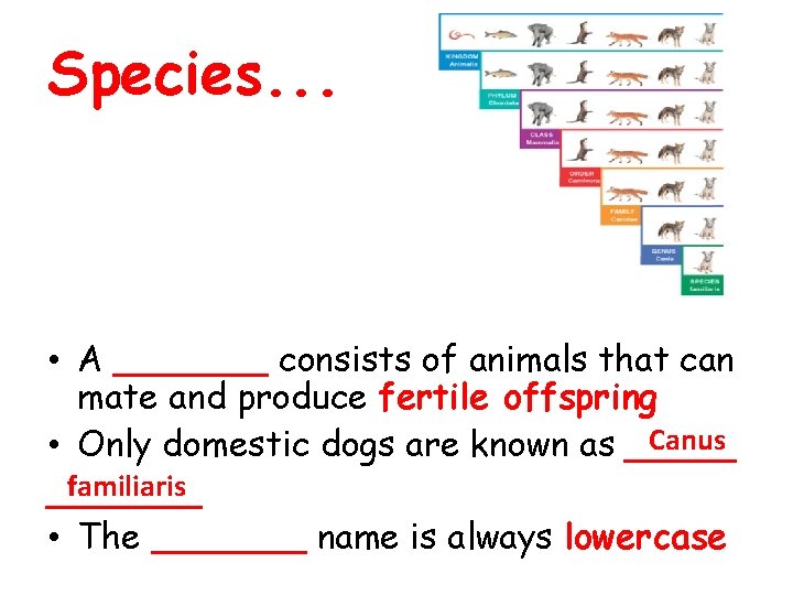 Species. . . • A _______ consists of animals that can mate and produce