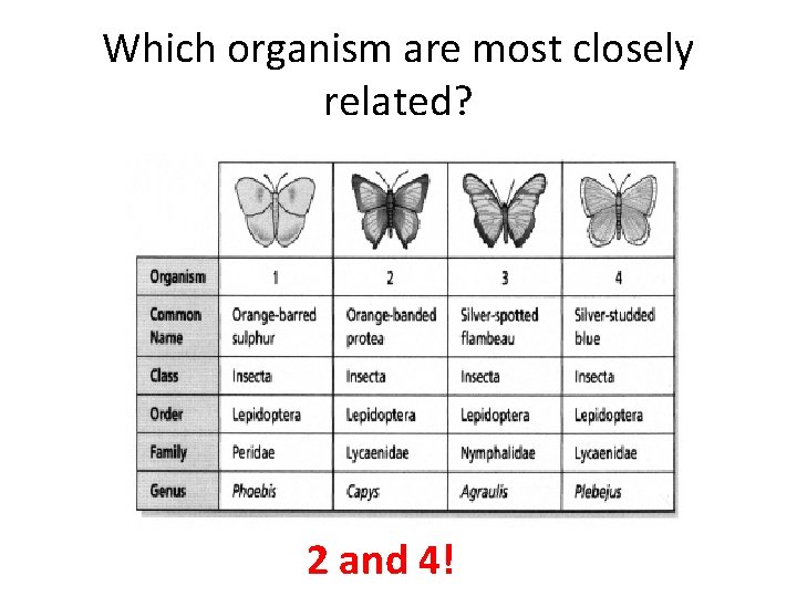 Which organism are most closely related? 2 and 4! 