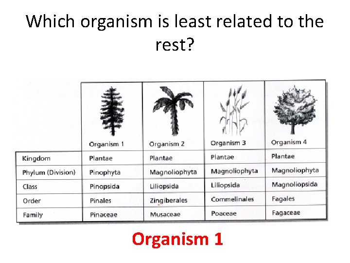 Which organism is least related to the rest? Organism 1 