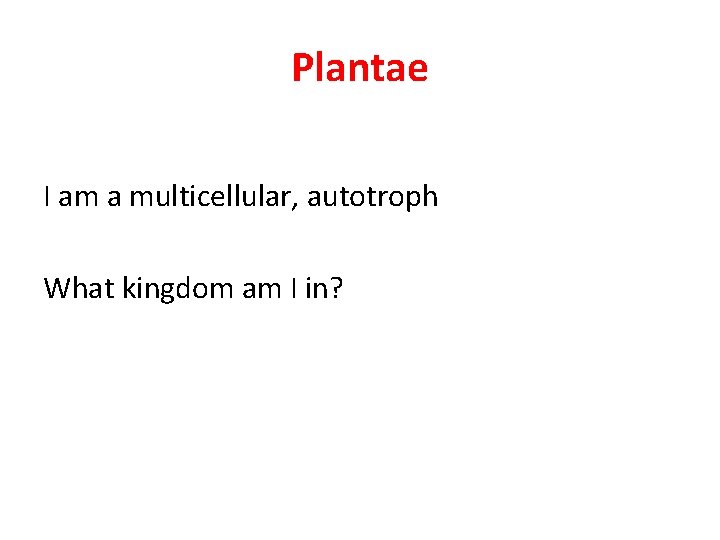 Plantae I am a multicellular, autotroph What kingdom am I in? 