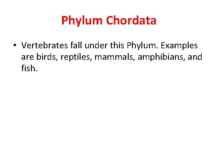 Phylum Chordata • Vertebrates fall under this Phylum. Examples are birds, reptiles, mammals, amphibians,