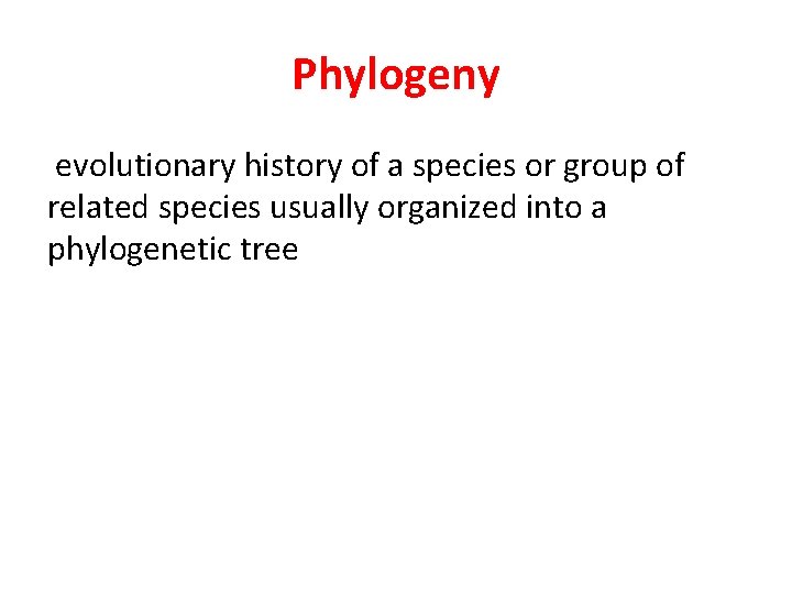 Phylogeny evolutionary history of a species or group of related species usually organized into