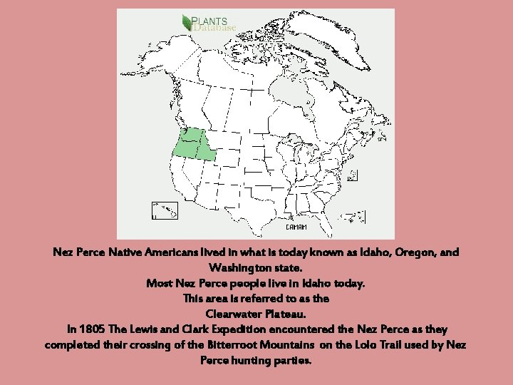 Nez Perce Native Americans lived in what is today known as Idaho, Oregon, and