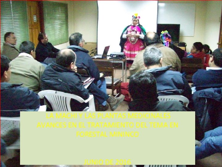 LA MACHI Y LAS PLANTAS MEDICINALES AVANCES EN EL TRATAMIENTO DEL TEMA EN FORESTAL