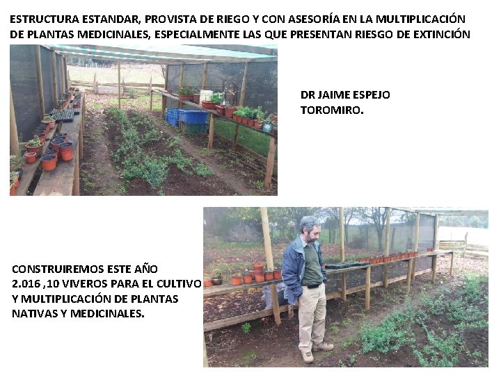 ESTRUCTURA ESTANDAR, PROVISTA DE RIEGO Y CON ASESORÍA EN LA MULTIPLICACIÓN DE PLANTAS MEDICINALES,