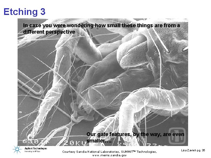 Etching 3 In case you were wondering how small these things are from a