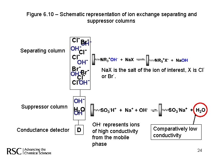 Figure 6. 10 – Schematic representation of ion exchange separating and suppressor columns Cl-