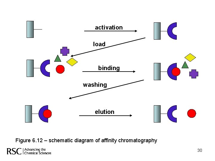 activation load binding washing elution Figure 6. 12 – schematic diagram of affinity chromatography