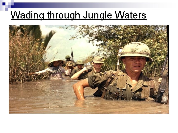 Wading through Jungle Waters Wading through Jungle Waters