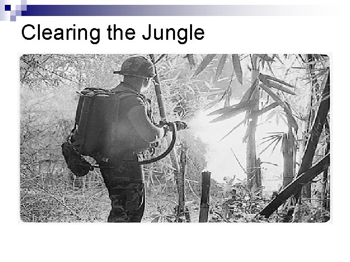 Clearing the Jungle Clearing the Jungle