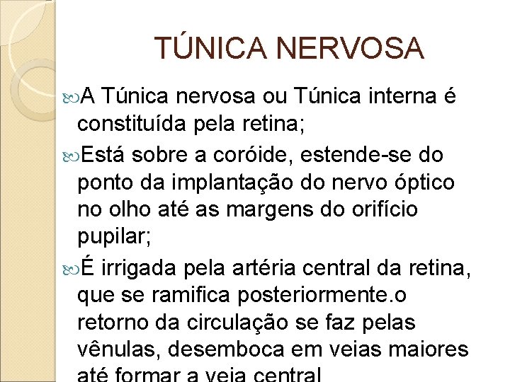 TÚNICA NERVOSA A Túnica nervosa ou Túnica interna é constituída pela retina; Está sobre TÚNICA NERVOSA A Túnica nervosa ou Túnica interna é constituída pela retina; Está sobre