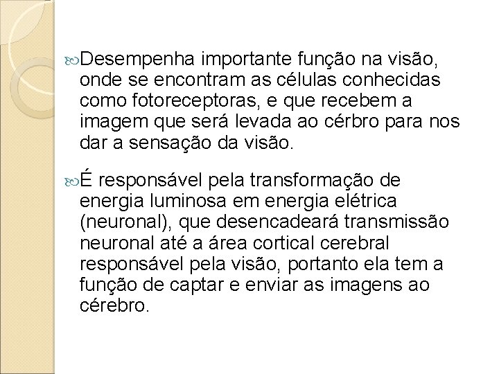 Desempenha importante função na visão, onde se encontram as células conhecidas como fotoreceptoras, Desempenha importante função na visão, onde se encontram as células conhecidas como fotoreceptoras,