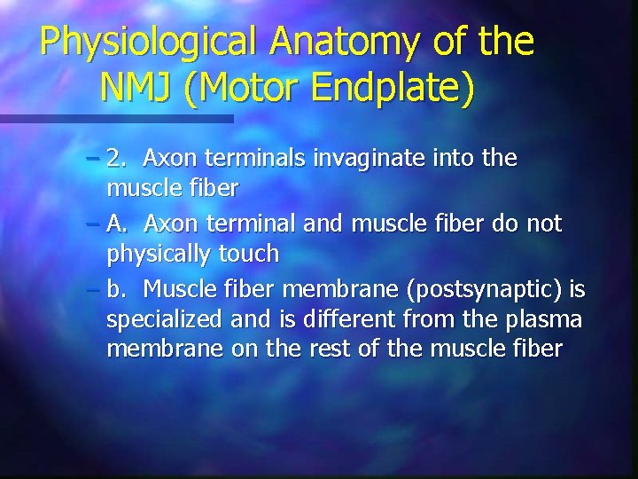 Physiological Anatomy of the NMJ (Motor Endplate) – 2. Axon terminals invaginate into the