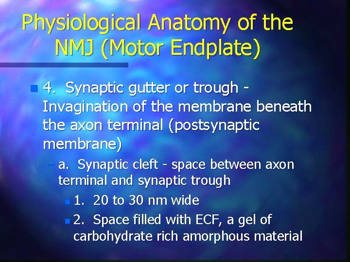 Physiological Anatomy of the NMJ (Motor Endplate) n 4. Synaptic gutter or trough Invagination