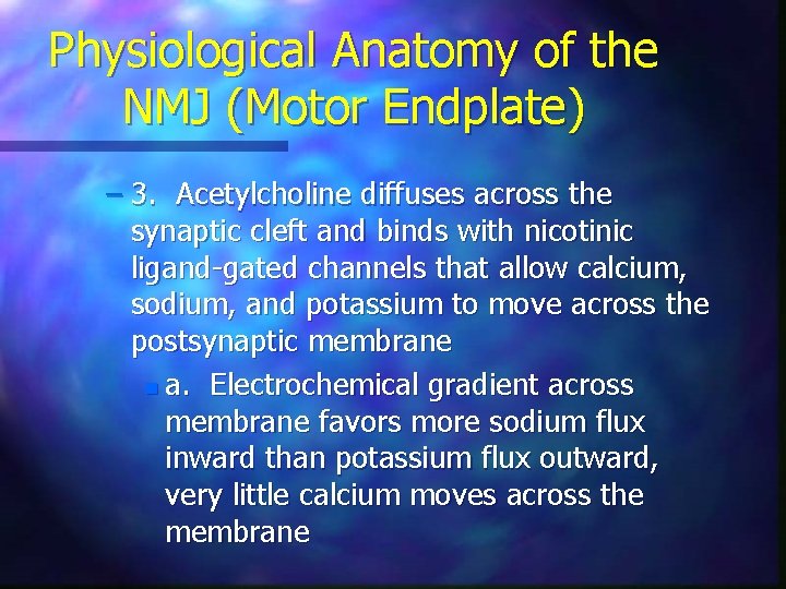 Physiological Anatomy of the NMJ (Motor Endplate) – 3. Acetylcholine diffuses across the synaptic