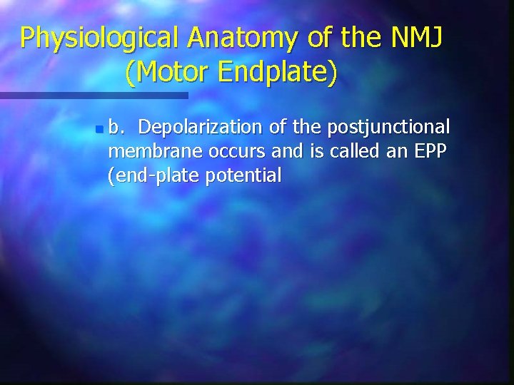 Physiological Anatomy of the NMJ (Motor Endplate) n b. Depolarization of the postjunctional membrane