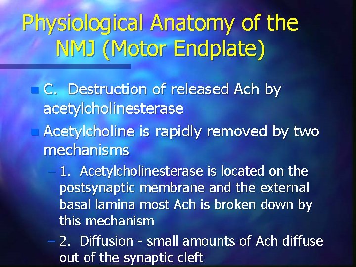 Physiological Anatomy of the NMJ (Motor Endplate) C. Destruction of released Ach by acetylcholinesterase