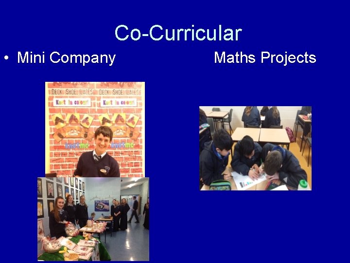 Co-Curricular • Mini Company Maths Projects 