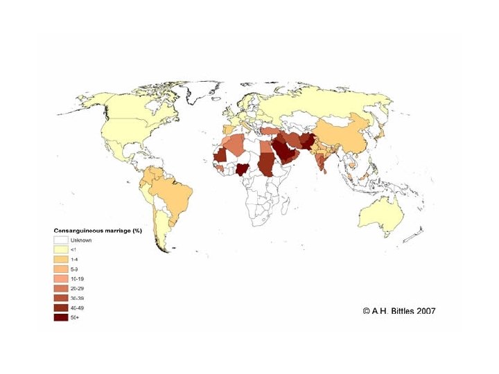 Consang marriage rates ww 