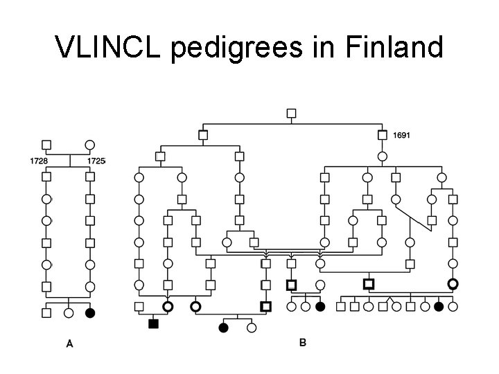 VLINCL pedigrees in Finland 