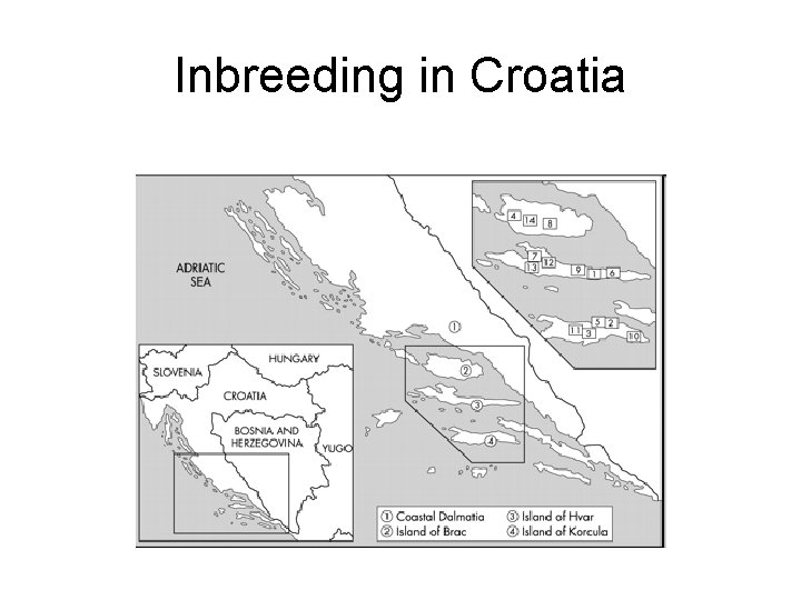 Inbreeding in Croatia 
