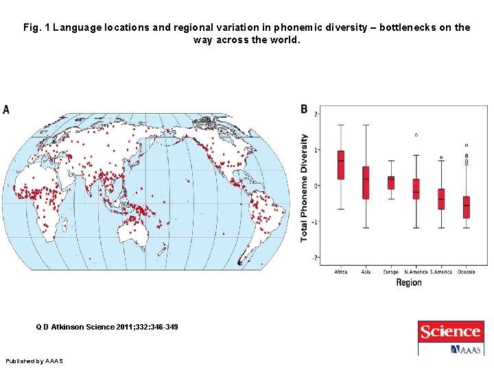 Fig. 1 Language locations and regional variation in phonemic diversity – bottlenecks on the