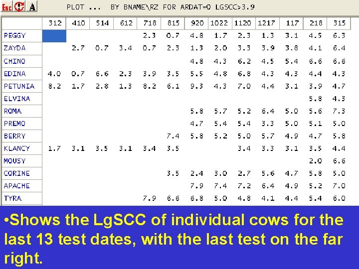• Shows the Lg. SCC of individual cows for the last 13 test • Shows the Lg. SCC of individual cows for the last 13 test