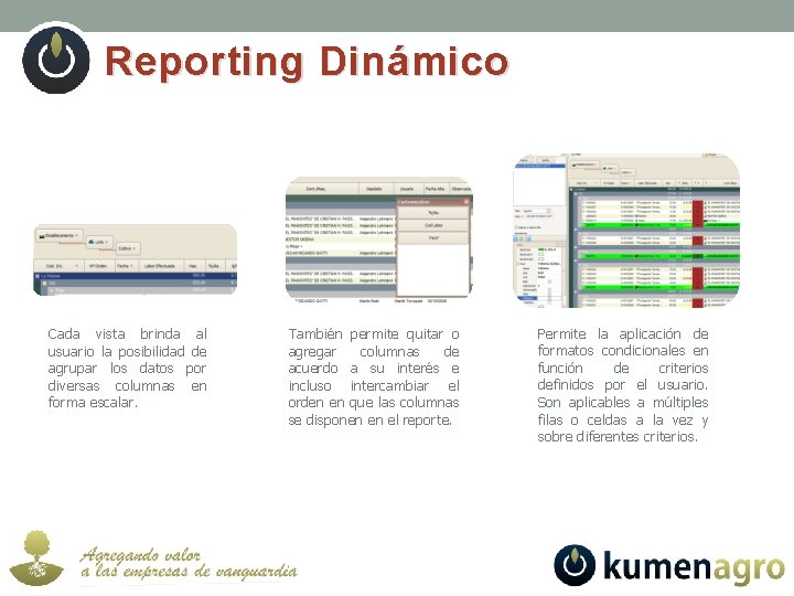 Reporting Dinámico Cada vista brinda al usuario la posibilidad de agrupar los datos por
