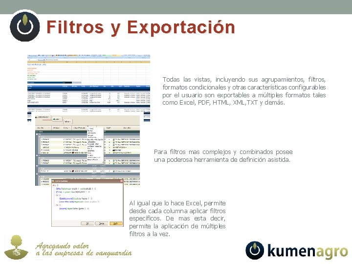 Filtros y Exportación Todas las vistas, incluyendo sus agrupamientos, filtros, formatos condicionales y otras