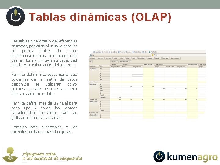 Tablas dinámicas (OLAP) Las tablas dinámicas o de referencias cruzadas, permiten al usuario generar