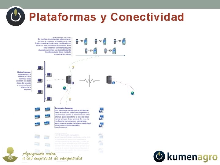 Plataformas y Conectividad 