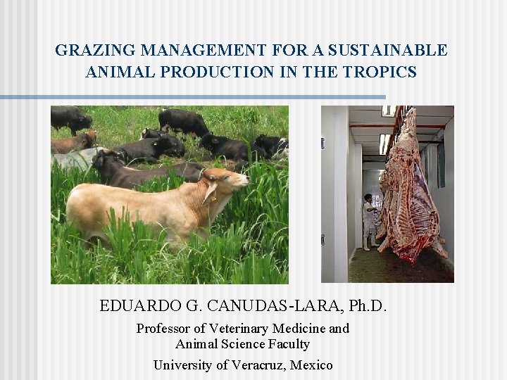 GRAZING MANAGEMENT FOR A SUSTAINABLE ANIMAL PRODUCTION IN THE TROPICS EDUARDO G. CANUDAS-LARA, Ph.