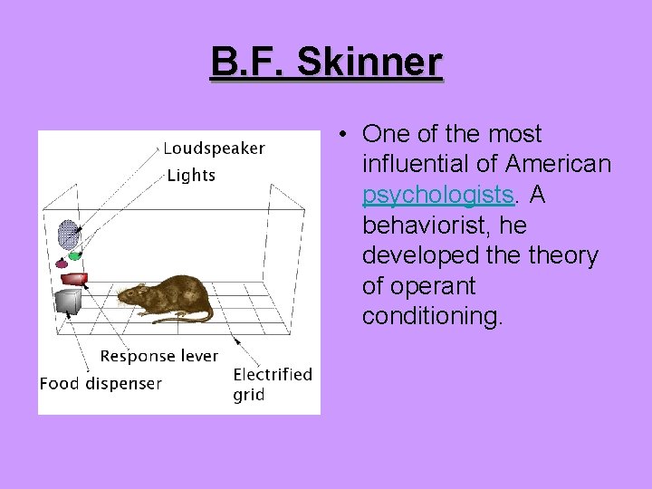 B. F. Skinner • One of the most influential of American psychologists. A behaviorist,
